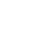 Previous audit issues