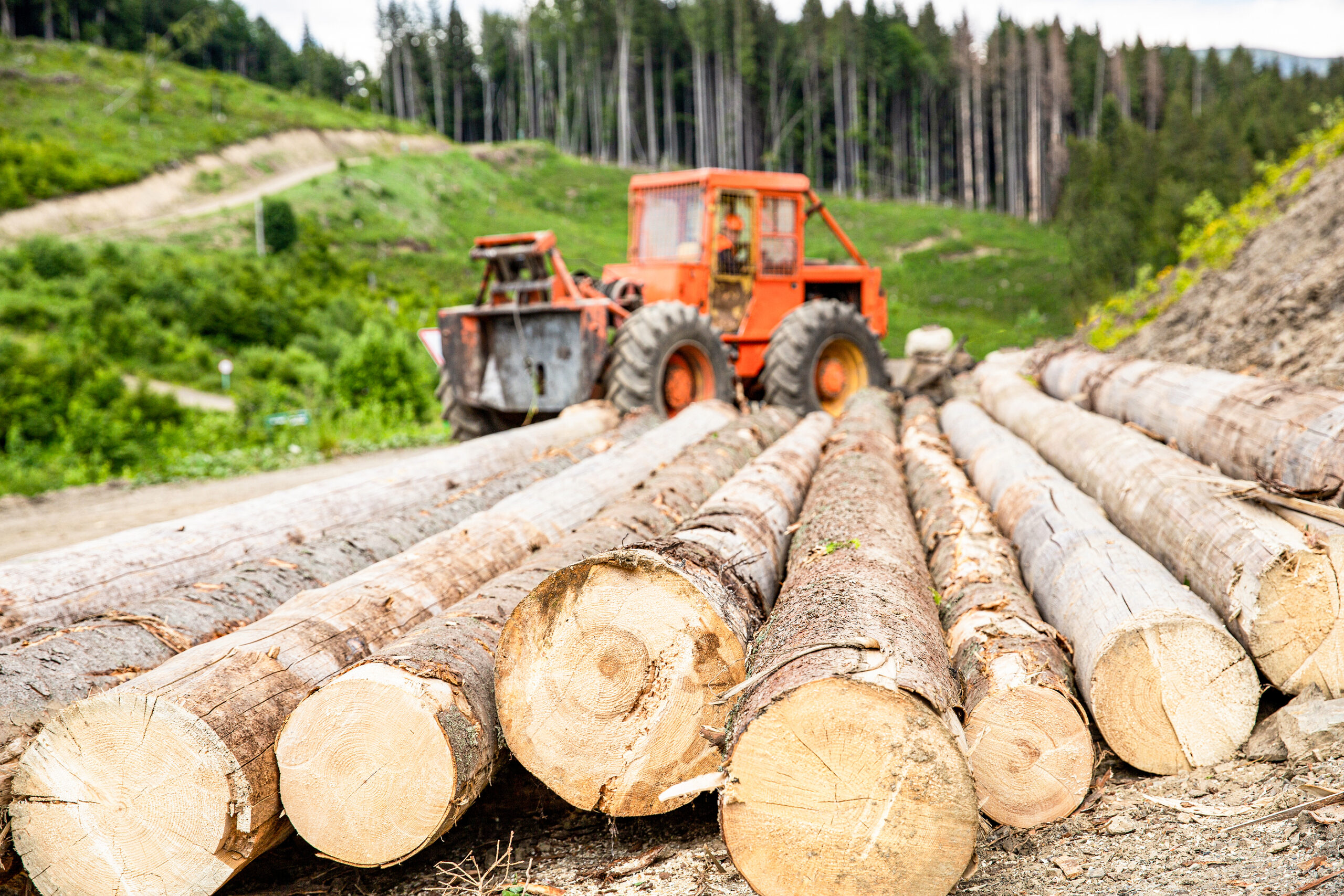 Logging Industry – Equipment Injuries for Log Harvesting