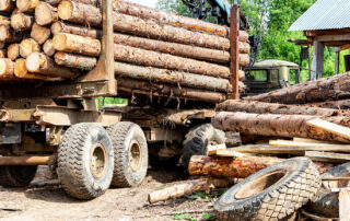 Why Your Logging Industry Clients Need Workers’ Compensation Coverage
