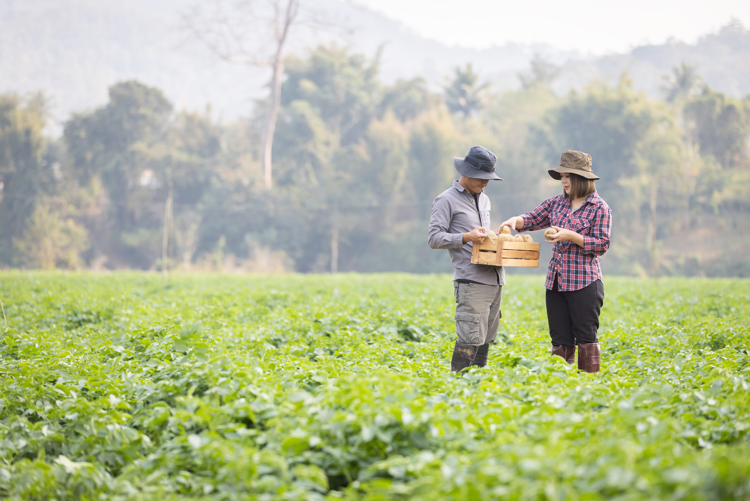 Agriculture Industry – The Benefits of a PEO for Your Agriculture Industry Clients 