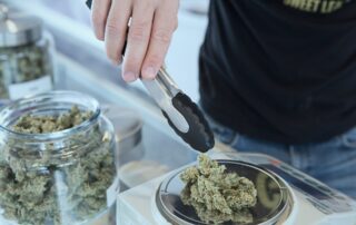 Cannabis Industry – Repetitive Motion Injuries for Extractors