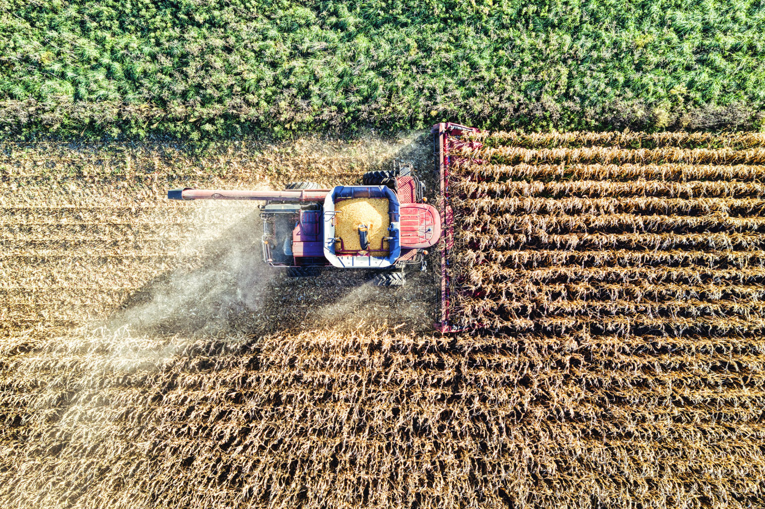 Machinery Accidents in Corn Farming: How WC Coverage Protects Clients